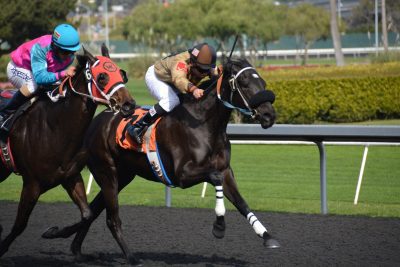 Churchill Downs to acquire Kentucky’s Ellis Park for $79m