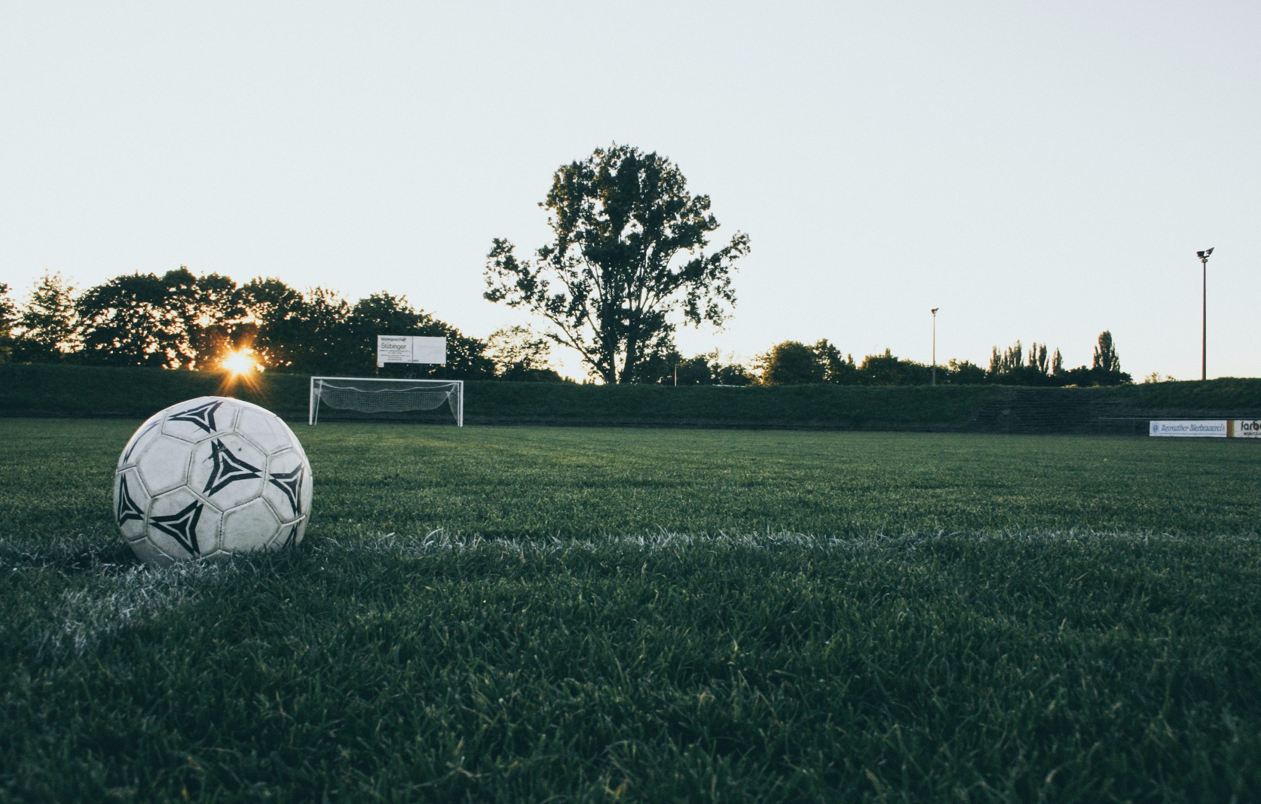 DSWV partners IBIA to protect sporting integrity