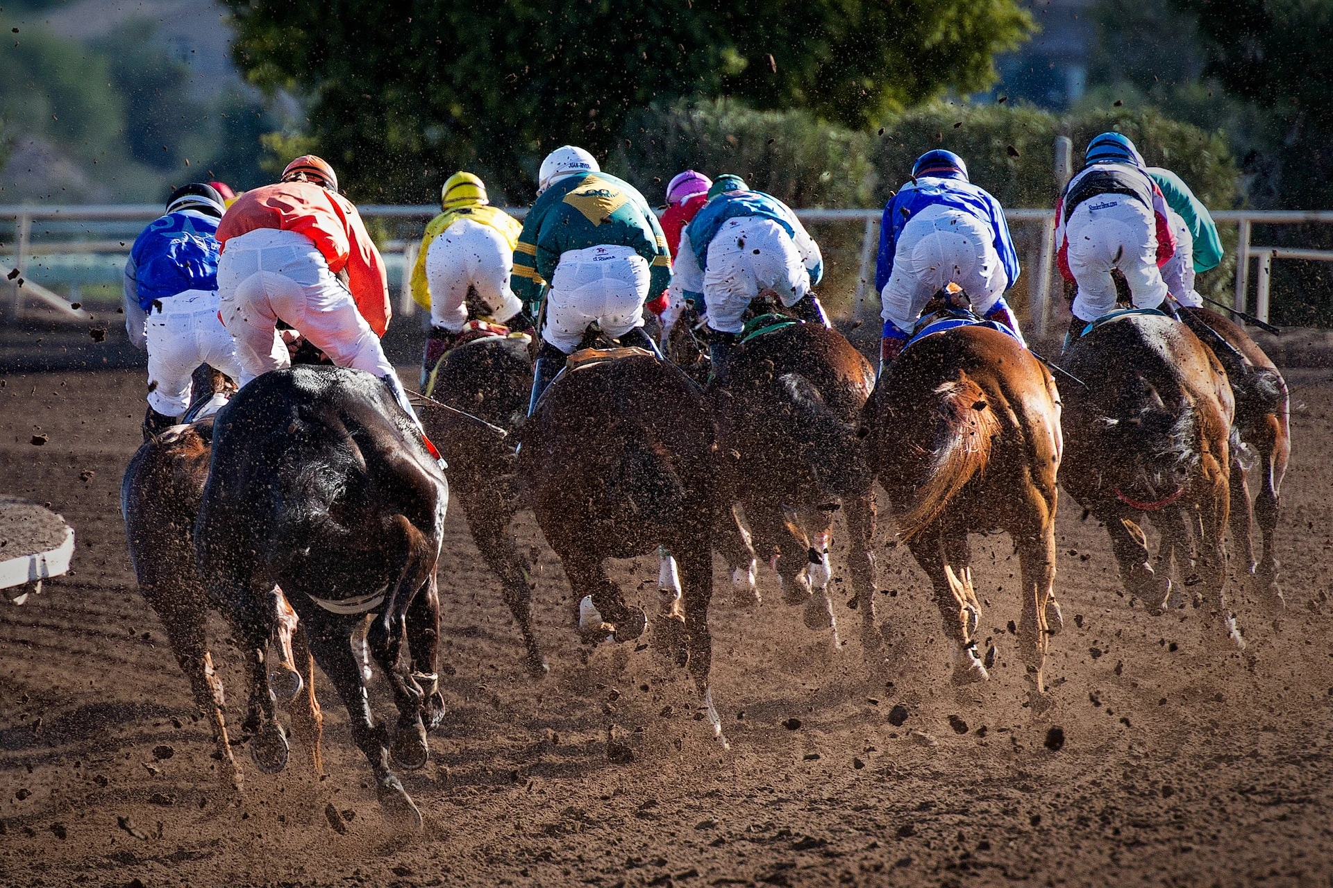 Caesars enters sports betting partnership with Massachussetts’ Raynham Park