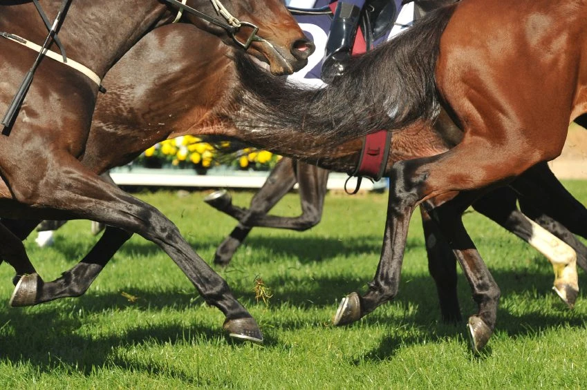 ARC confirms departure of chairman Thorpe