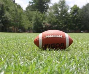 ESPN Bet to launch in November