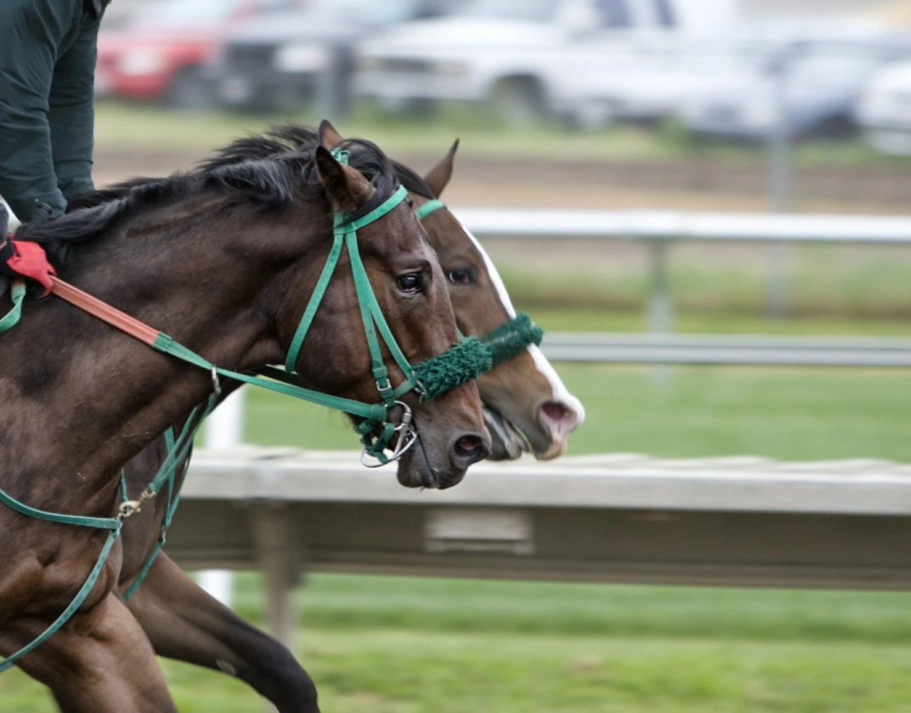 Global Tote agrees contract extension with Meadowlands Racing