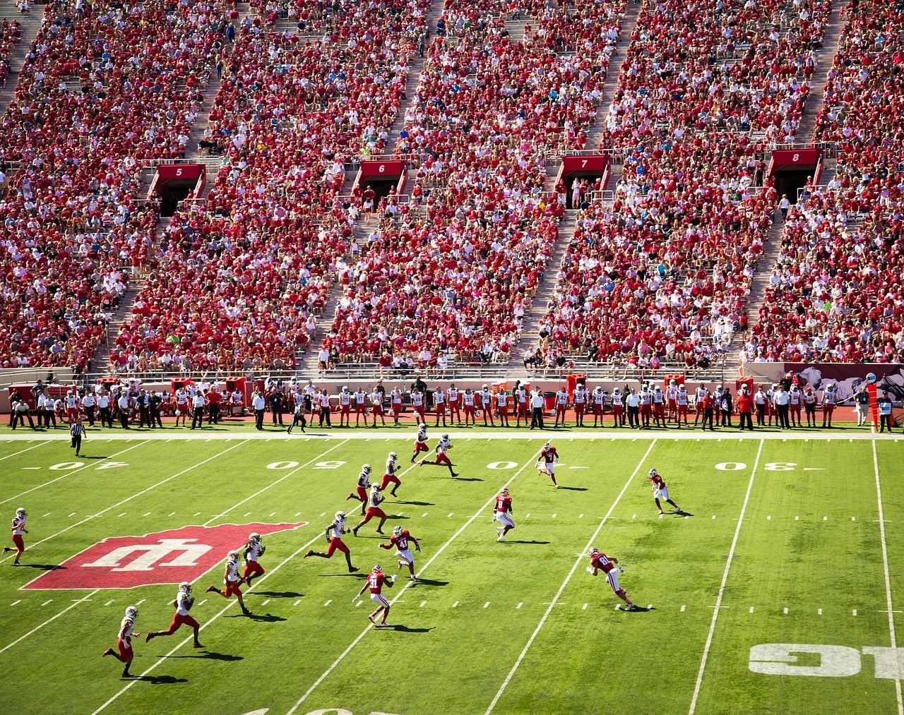 ESPN Bet to launch on 14 November