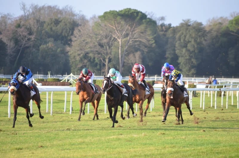 Jockey Club CEO launches petition against affordability checks