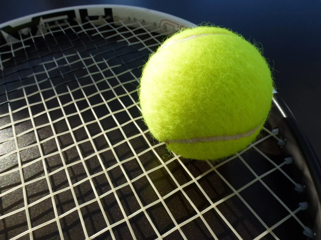 Slovenian tennis official banned for betting on matches and data manipulation