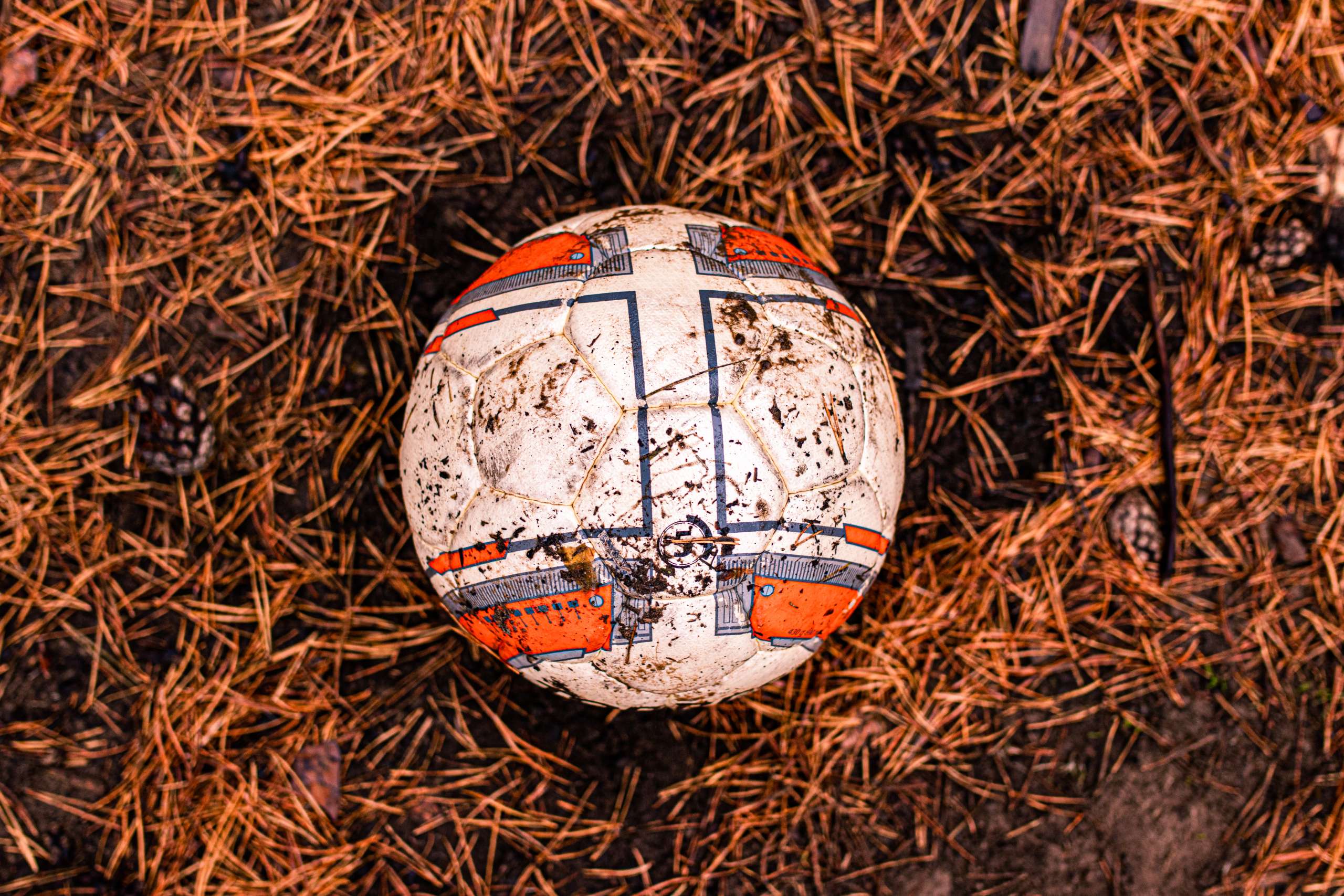 Dirty abandoned soccer ball in the woods. forgotten. lost. old. in spruce needles. maybe someone is looking for it. waiting for the owner.